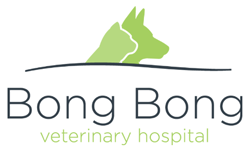 BONG BONG VETerinary Hospital - Vet Australia