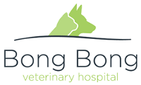 BONG BONG VETerinary Hospital