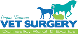 Boyne Tannum Veterinary Surgery - Vet Australia
