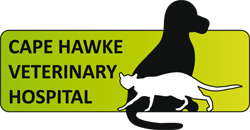 Cape Hawke Veterinary Hospital - Vet Australia