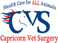 Capricorn Vet Surgery - Vet Australia