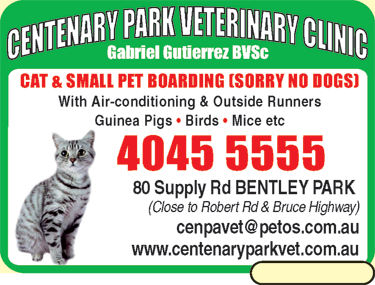 Centenary Park Veterinary Clinic - thumb 6