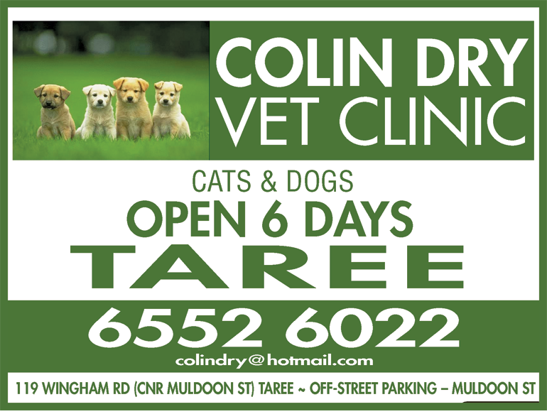 Colin Dry Veterinary Clinic - thumb 11