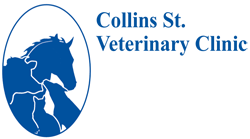 Collins St Veterinary Clinic - Vet Australia