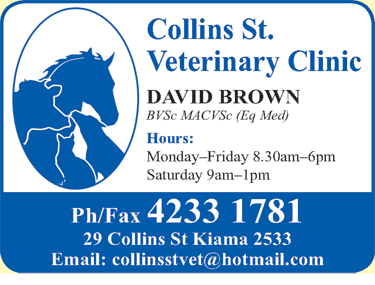 Collins St Veterinary Clinic - thumb 1