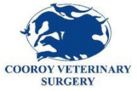 Cooroy Veterinary Surgery - Vet Australia