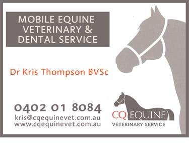 CQ Equine Veterinary Service - thumb 1