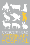Crescent Head Veterinary Hospital