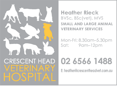 Crescent Head Veterinary Hospital - thumb 1