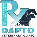 Dapto Veterinary Clinic