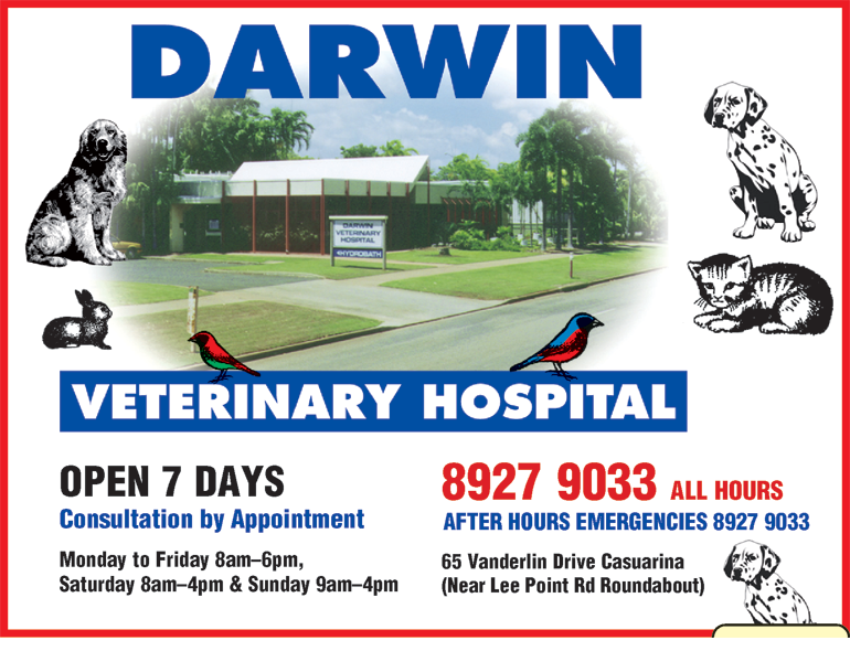 Darwin Veterinary Hospital - thumb 1