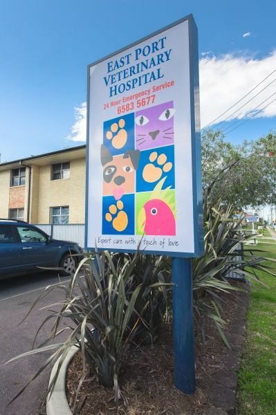East Port Veterinary Hospital - thumb 5