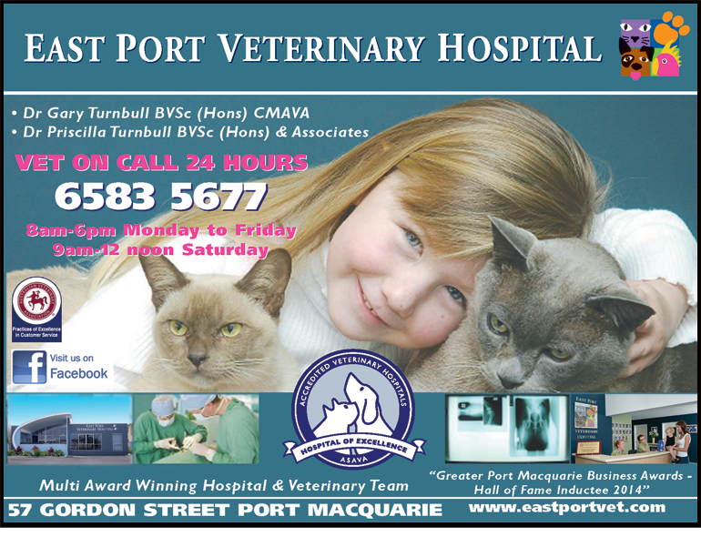East Port Veterinary Hospital - thumb 6