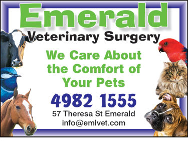 Emerald Veterinary Surgery, Boarding Kennel & Cattery - thumb 1