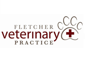 Fletcher Veterinary Practice - Gold Coast Vets