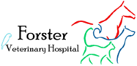 Forster Veterinary Hospital