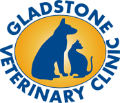 Gladstone Veterinary Clinic - Vet Australia