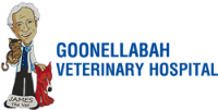 Goonellabah Veterinary Hospital