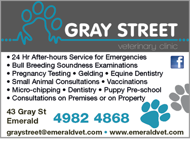Gray Street Veterinary Clinic - thumb 2