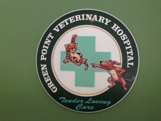 Green Point Veterinary Hospital - thumb 5