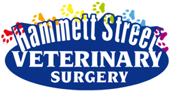 Hammett Street Veterinary Surgery - thumb 0