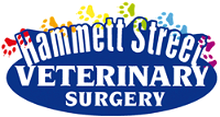 Hammett Street Veterinary Surgery - Gold Coast Vets