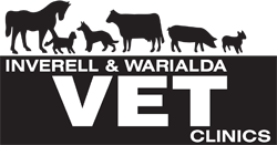 Inverell Vet Clinic - Vet Australia