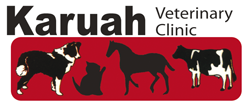 Karuah Veterinary Clinic - Vet Australia