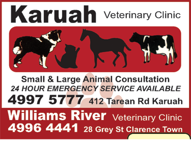 Karuah Veterinary Clinic - thumb 4