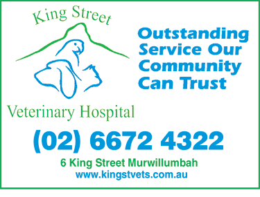 King Street Veterinary Hospital - thumb 1
