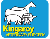 Kingaroy Veterinary Surgery - Vet Australia