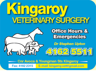 Kingaroy Veterinary Surgery - thumb 1