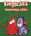 Kingscliff Veterinary Hospital - Vet Australia