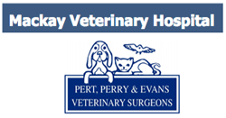 Mackay Veterinary Hospital - Vet Australia