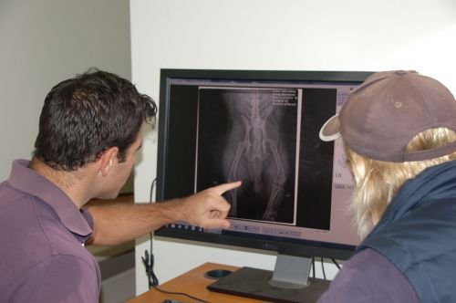 Macleay Valley Veterinary Services - thumb 3