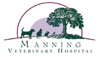 Manning Veterinary Hospital - Vet Australia