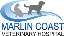 Marlin Coast Veterinary Hospital - Vet Australia