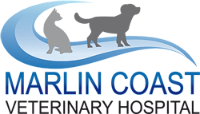 Marlin Coast Veterinary Hospital