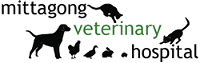 Mittagong Veterinary Hospital - Vet Australia