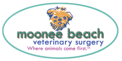 Moonee Beach Veterinary Surgery - Vet Australia