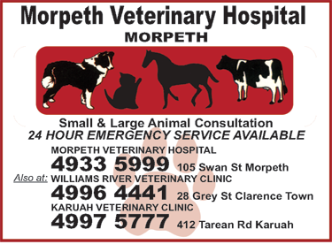 Morpeth Veterinary Hospital - thumb 3
