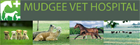 Mudgee Veterinary Hospital - Vet Australia
