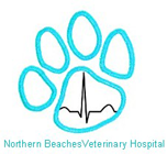 Northern Beaches Veterinary Hospital - Vet Australia