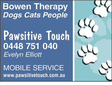 Pawsitive Touch - thumb 1