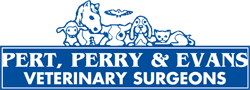 Pert Perry  Evans Veterinary Surgeons - Vet Australia