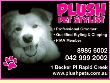 Plush Pet Stylist - thumb 4