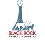 Black Rock Animal Hospital - thumb 0
