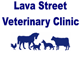 Lava Street Veterinary Clinic