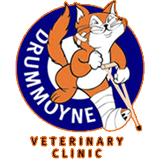 Drummoyne Veterinary Clinic - Vet Australia