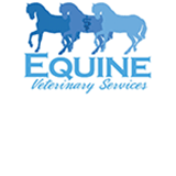 Dr Ed's Equine Veterinary Services - Vet Australia